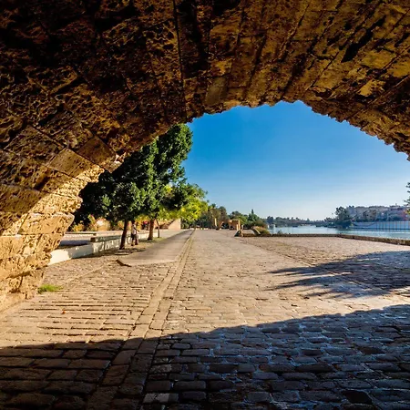 Jentoft Sevilla